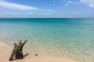 Mozambico